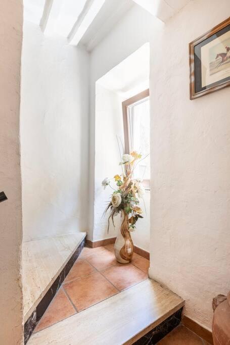 Casa Nel Corso Daire Pitigliano Dış mekan fotoğraf