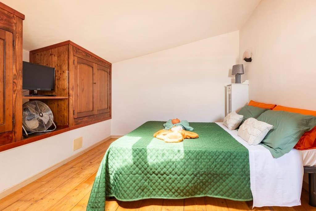 Casa Nel Corso Daire Pitigliano Dış mekan fotoğraf